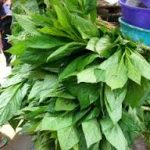 Soko (Nigerian Spinach)