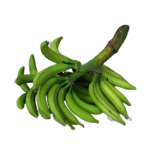 Bunch of Plantain(Unripe)